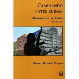 CAMINANDO ENTRE RUINAS