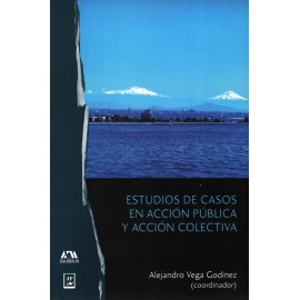 ESTUDIOS DE CASOS EN ACCION PUBLICA Y ACCCION COLECTIVA